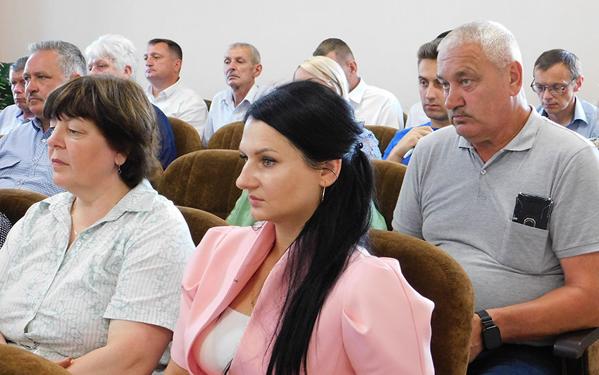 Обследование домовладений и качественное взаимодействие субъектов профилактики: о чем говорили на заседании рабочей группы Дятловского райисполкома